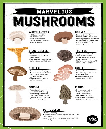 chanterelle vitamins tab